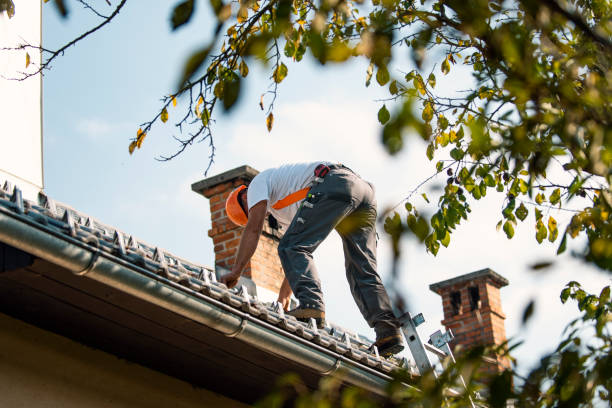 Best Roofing for New Construction  in Beulah, ND